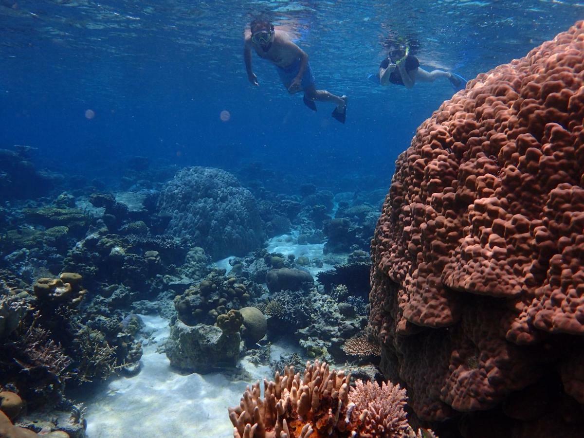 Blue Coral Homestay كاريمونجاوا المظهر الخارجي الصورة