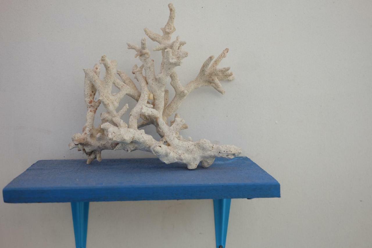 Blue Coral Homestay كاريمونجاوا المظهر الخارجي الصورة