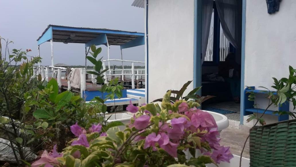 Blue Coral Homestay كاريمونجاوا المظهر الخارجي الصورة